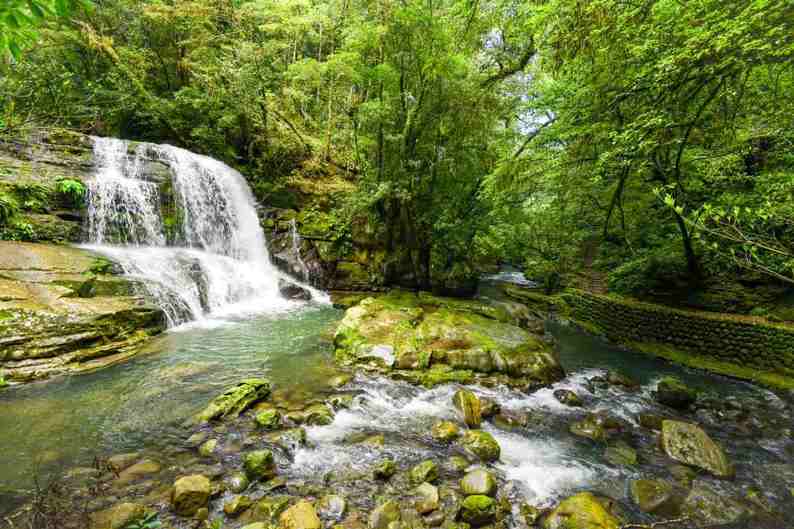 心癒される苔と渓流 宮崎県・猪八重渓谷