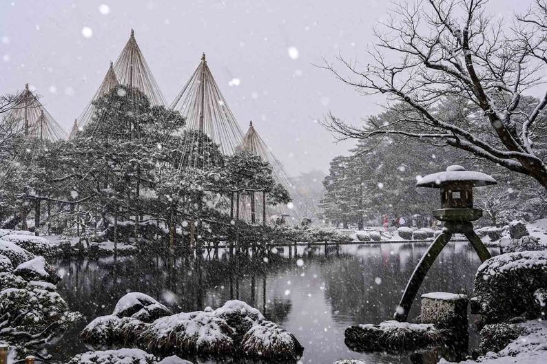 唐崎松の雪吊り 石川県・兼六園