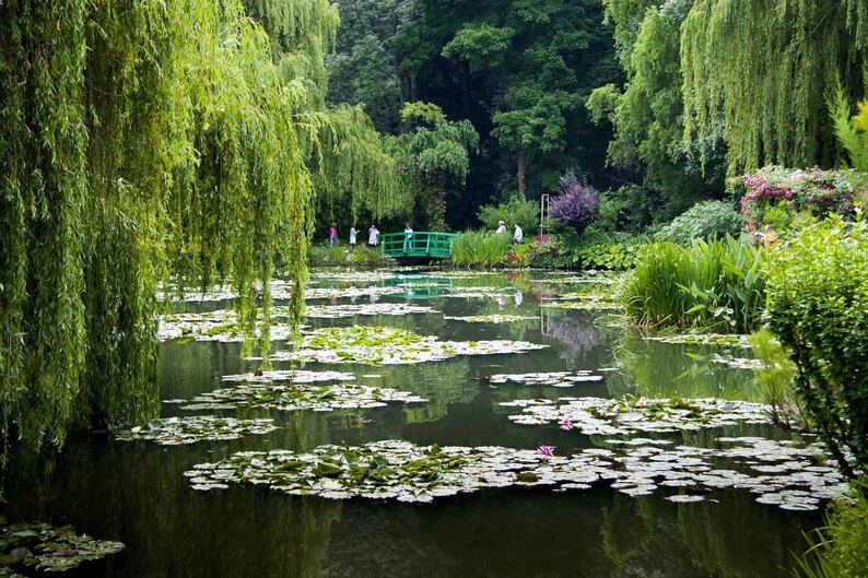 モネの描いた「水の庭」 フランス・ジヴェルニー