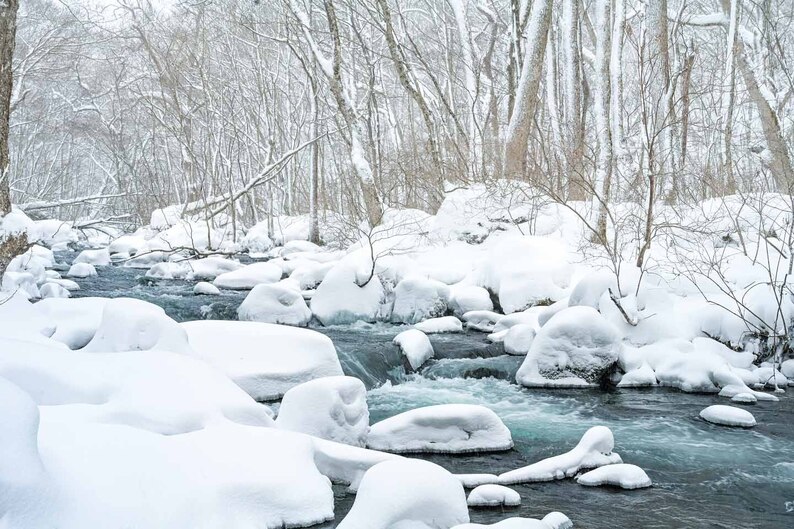 雪と氷の織りなすアート 青森県・奥入瀬渓流