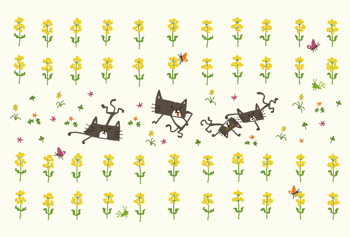 菜の花と猫