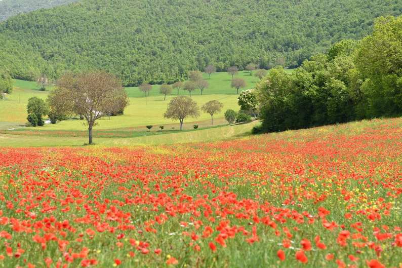 秘密の花園 イタリア・ノルチャ
