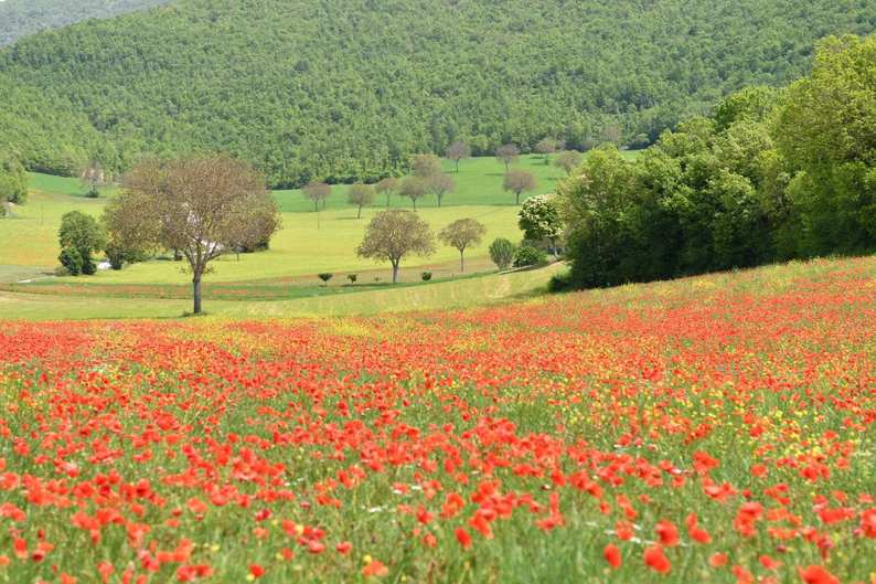 秘密の花園 イタリア・ノルチャ