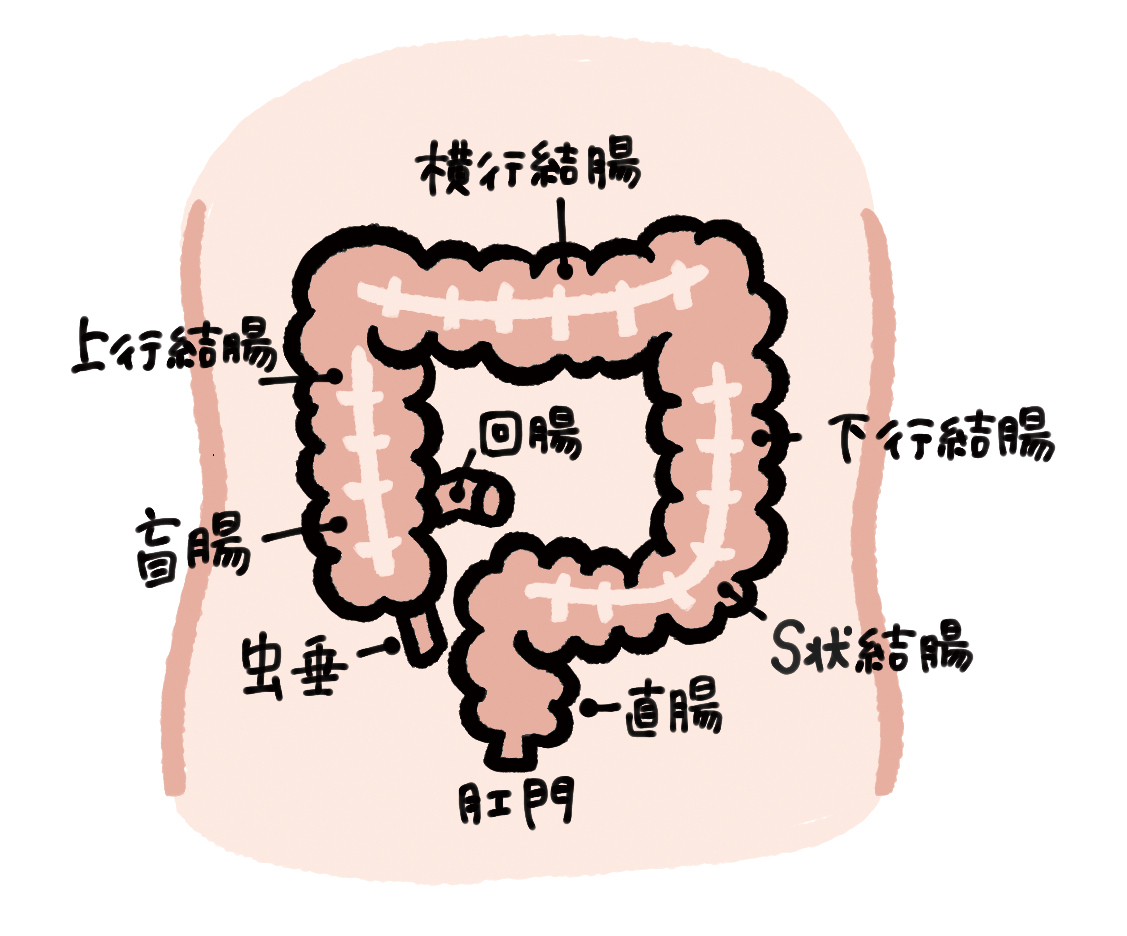 2020年の全国調査（グラフ）