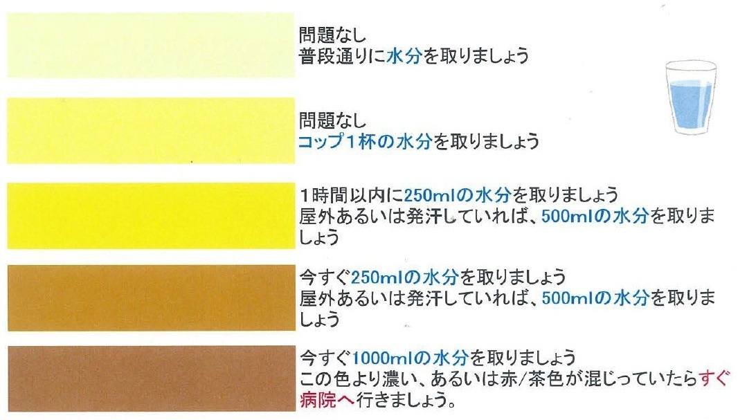 ゆったりとした運動がおすすめで