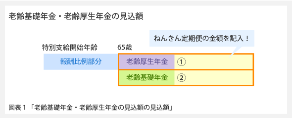 厚生 一括 支給 の 年金 老齢 特別